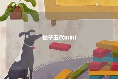 柚子五代mini