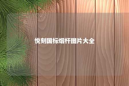 悦刻国标烟杆图片大全